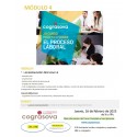No Colegiados: MÓDULO 11 (Curso El Proceso Lab.)