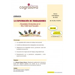 No Colegiados: GRABACIÓN JORNADA  “LA EXPATRIACIÓN DE TRABAJADORES -Novedades introducidas por el RDL 7/2021 de 27 de abril-”